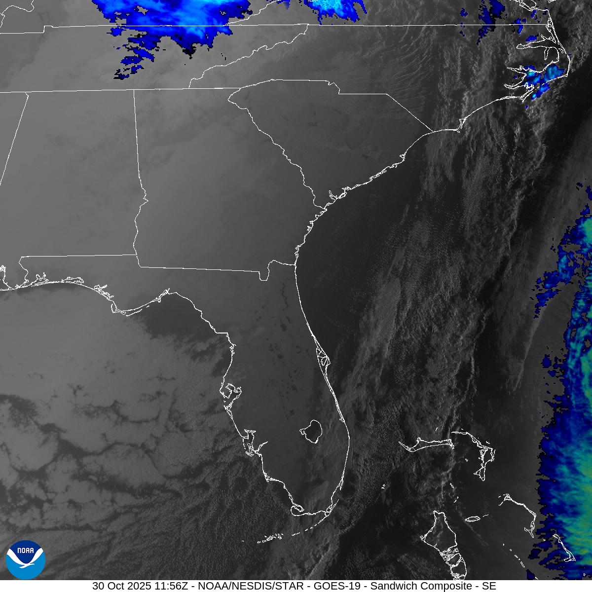 Sandwich Composite Sandwich Composite
