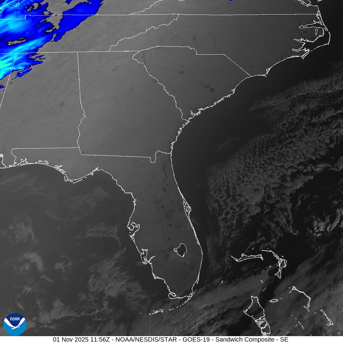 Sandwich Composite Sandwich Composite